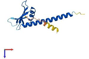 AlphaFold protein structure predicition of Mouse Recombinant Polr1d Protein, UniprotID P97304