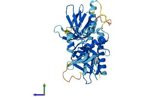 AlphaFold protein structure predicition of Mouse Recombinant Plek Protein, UniprotID Q9JHK5