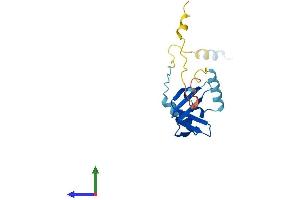 AlphaFold protein structure predicition of Mouse Recombinant Btf3l4 Protein, UniprotID Q9CQH7