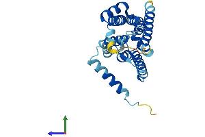 AlphaFold protein structure predicition of Human Recombinant NRM Protein, UniprotID Q8IXM6