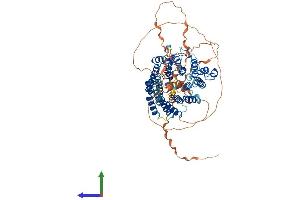 AlphaFold protein structure predicition of Human Recombinant TRAPPC12 Protein, UniprotID Q8WVT3
