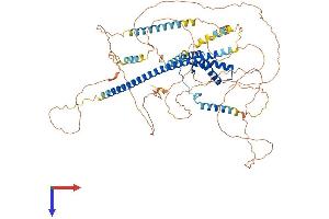 AlphaFold protein structure predicition of Human Recombinant SOX5 Protein, UniprotID P35711