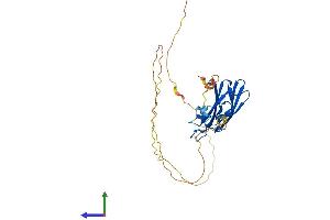 AlphaFold protein structure predicition of Mouse Recombinant Rims3 Protein, UniprotID Q80U57