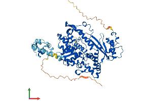 AlphaFold protein structure predicition of Human Recombinant SAMHD1 Protein, UniprotID Q9Y3Z3