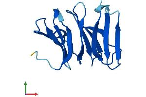 AlphaFold protein structure predicition of Human Recombinant NHLRC4 Protein, UniprotID P0CG21