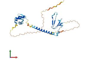 AlphaFold protein structure predicition of Mouse Recombinant E2f6 Protein, UniprotID O54917