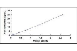 Typical Standard Curve