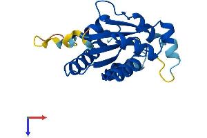 AlphaFold protein structure predicition of Mouse Recombinant Idnk Protein, UniprotID Q8R0J8