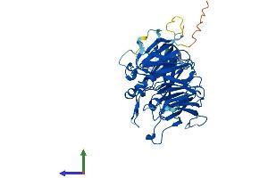 AlphaFold protein structure predicition of Human Recombinant PPP2R2D Protein, UniprotID Q66LE6