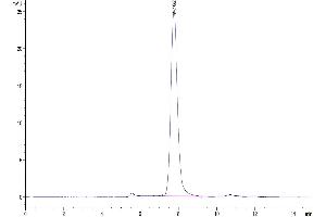 The purity of Mouse TLR3 is greater than 95 % as determined by SEC-HPLC.