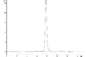 The purity of Mouse TLR3 is greater than 95 % as determined by SEC-HPLC. (TLR3 Protein (AA 25-705) (His tag))