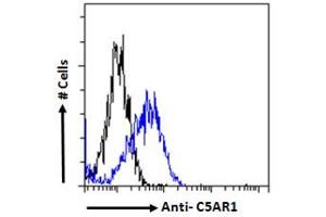ABIN5539670 Flow cytometric analysis of paraformaldehyde fixed HepG2 cells (blue line), permeabilized with 0. (C5AR1 anticorps  (C-Term))