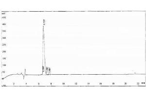 Endorphin beta (beta-EP) peptide (Ovalbumin)