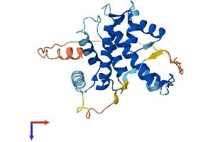 AlphaFold protein structure predicition of Mouse Recombinant Capns2 Protein, UniprotID Q9D7J7