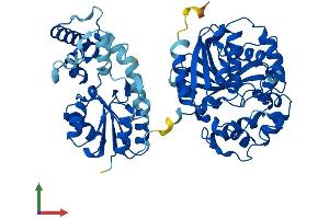 AlphaFold protein structure predicition of Human Recombinant EPHX2 Protein, UniprotID P34913
