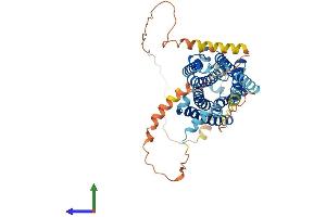 AlphaFold protein structure predicition of Mouse Recombinant Cnr1 Protein, UniprotID P47746