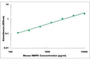 Representative Standard Curve (MMP8 Kit ELISA)
