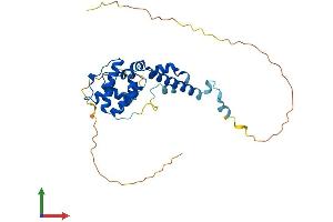 AlphaFold protein structure predicition of Human Recombinant SPATA4 Protein, UniprotID Q8NEY3