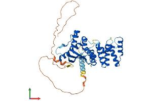 AlphaFold protein structure predicition of Mouse Recombinant Snx21 Protein, UniprotID Q3UR97