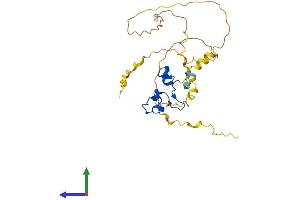 AlphaFold protein structure predicition of Mouse Recombinant Nanos1 Protein, UniprotID Q80WY3