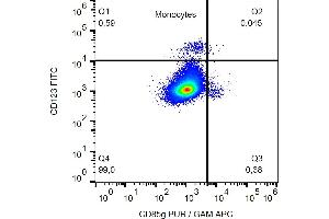 Flow cytometry analysis (surface staining) of CD85g in human buffy coat cells with anti-CD85g (17G10. (LILRA4 anticorps)