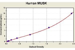 Diagramm of the ELISA kit to detect Human MUSKwith the optical density on the x-axis and the concentration on the y-axis. (MUSK Kit ELISA)