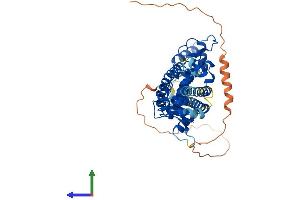 AlphaFold protein structure predicition of Mouse Recombinant Ppara Protein, UniprotID P23204