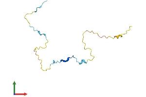 AlphaFold protein structure predicition of Human Recombinant PCLAF Protein, UniprotID Q15004