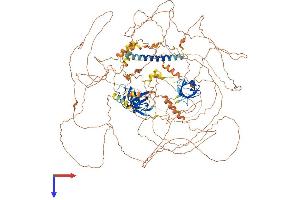 AlphaFold protein structure predicition of Mouse Recombinant Sorbs1 Protein, UniprotID Q62417