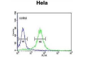 COG2 Antibody (N-term) flow cytometric analysis of Hela cells (right histogram) compared to a negative control cell (left histogram).