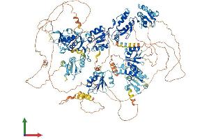 AlphaFold protein structure predicition of Human Recombinant TOPBP1 Protein, UniprotID Q92547