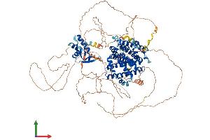 AlphaFold protein structure predicition of Human Recombinant RFX1 Protein, UniprotID P22670