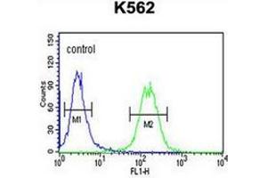 Flow cytometry analysis of K562 cells using GALR1 Antibody (Center) Cat. (Galanin Receptor 1 anticorps  (Middle Region))