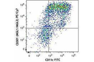 Flow Cytometry (FACS) image for anti-C-Type Lectin Domain Family 10, Member A (CLEC10A) antibody (PE-Cy7) (ABIN2659221)