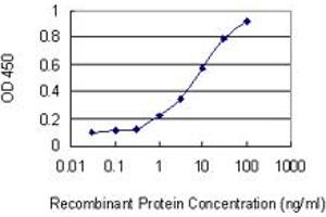 Detection limit for recombinant GST tagged PCGF5 is 0. (PCGF5 anticorps  (AA 51-148))