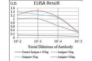 Black line: Control Antigen (100 ng), Purple line: Antigen(10 ng), Blue line: Antigen (50 ng), Red line: Antigen (100 ng),