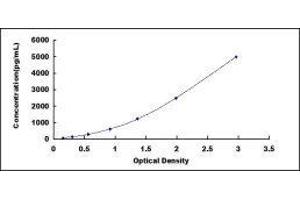 ELISA image for Adiponectin (ADIPOQ) ELISA Kit (ABIN414238)