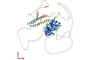 AlphaFold protein structure predicition of Mouse Recombinant Tle2 Protein, UniprotID Q9WVB2