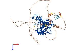 AlphaFold protein structure predicition of Mouse Recombinant Asph Protein, UniprotID Q8BSY0