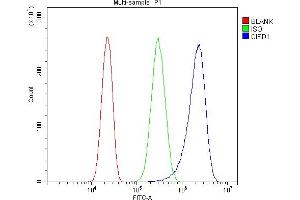 Flow Cytometry analysis of PC-3 cells using anti-MitoNEET/CISD1 antibody (ABIN7601089).