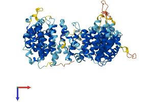 AlphaFold protein structure predicition of Mouse Recombinant Brat1 Protein, UniprotID Q8C3R1