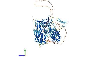 AlphaFold protein structure predicition of Human Recombinant WWP2 Protein, UniprotID O00308