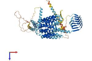 AlphaFold protein structure predicition of Mouse Recombinant Sv2a Protein, UniprotID Q9JIS5