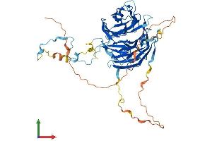 AlphaFold protein structure predicition of Human Recombinant RBBP5 Protein, UniprotID Q15291