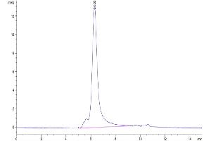 The purity of Human Latent TGF beta 3 is greater than 95 % as determined by SEC-HPLC.