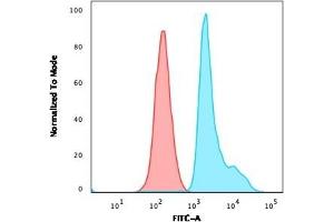Flow Cytometric Analysis of paraformaldehyde-fixed Raji cells. (RPSA/Laminin Receptor anticorps)