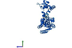 AlphaFold protein structure predicition of Mouse Recombinant Dcakd Protein, UniprotID Q8BHC4