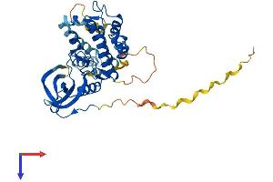 AlphaFold protein structure predicition of Mouse Recombinant Mapkapk2 Protein, UniprotID P49138