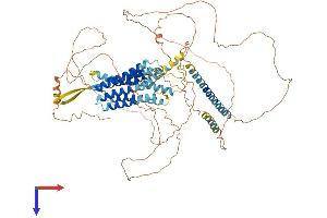 G Protein-Coupled Receptor 156 (GPR156) (AA 1-798) protein (His tag)