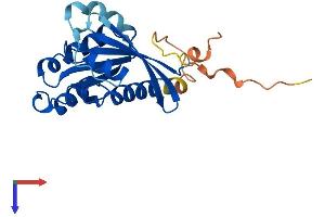 AlphaFold protein structure predicition of Human Recombinant RAB19 Protein, UniprotID A4D1S5